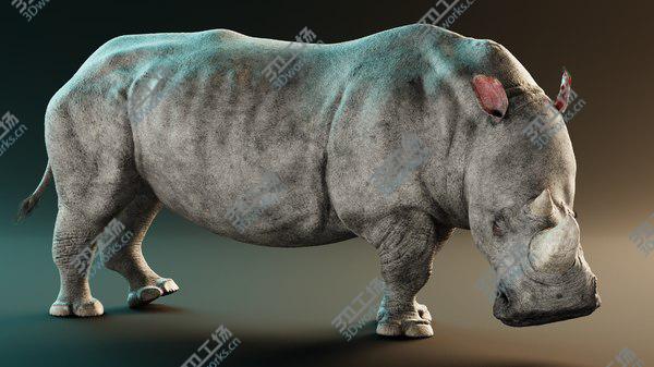 images/goods_img/20210312/3D White Rhinoceros Rigged model/1.jpg